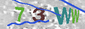 Obrazek CAPTCHA