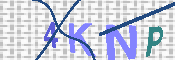 Obrazek CAPTCHA