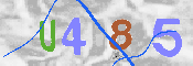 Obrazek CAPTCHA