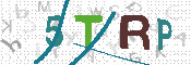 Obrazek CAPTCHA