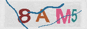 Obrazek CAPTCHA