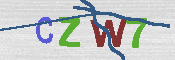 Obrazek CAPTCHA