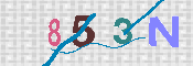 Obrazek CAPTCHA