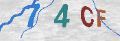 Obrazek CAPTCHA
