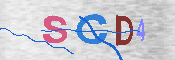 Obrazek CAPTCHA