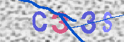 Obrazek CAPTCHA