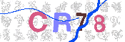 Obrazek CAPTCHA