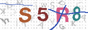 Obrazek CAPTCHA