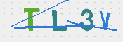 Obrazek CAPTCHA