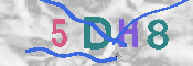 Obrazek CAPTCHA