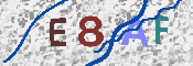 Obrazek CAPTCHA
