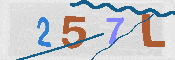 Obrazek CAPTCHA